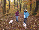 Beaglespaziergang Schaumburg, Paschenburg